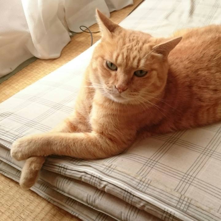 54b75dfd 50ab 4506 9715 0474798edc1f 1530154973073