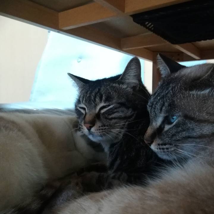 54b7724c 2400 41b5 a209 df7fde8c1934 1547631121797