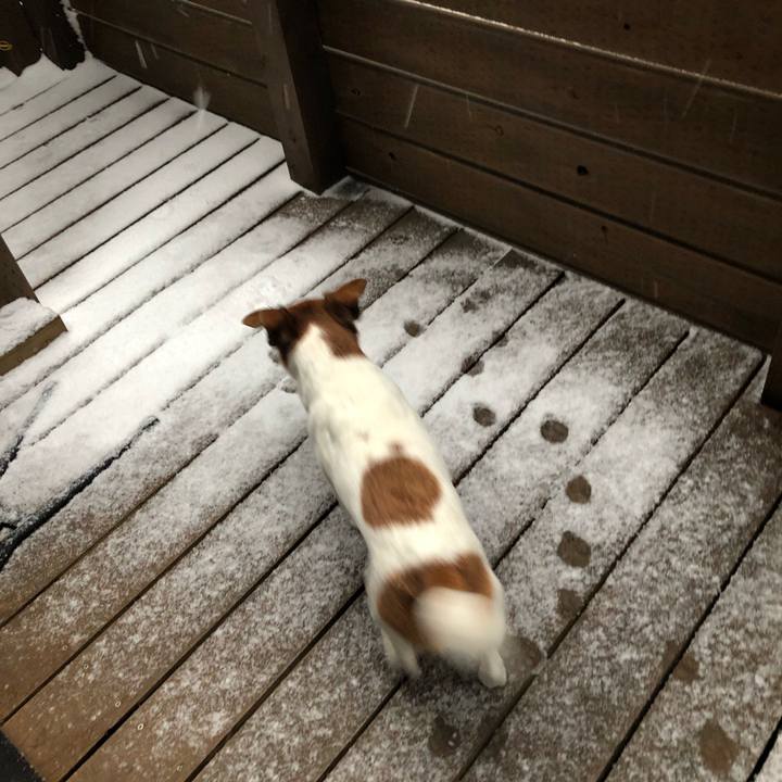 54b7aaf2 e28a 4371 8a46 aee0224938ee 1551537744433