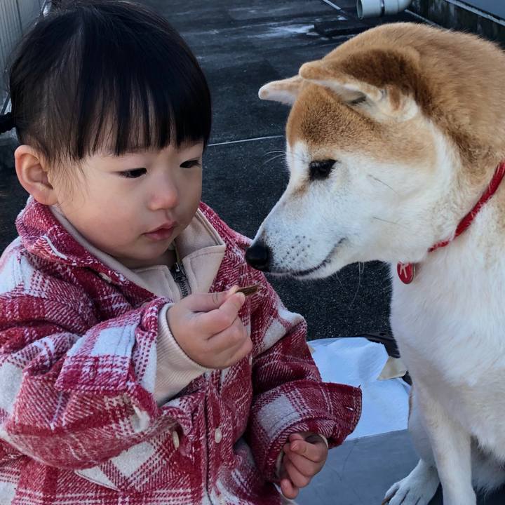 54b7c546 d20e 481a 9a76 df53b74c2ad8 1578284554457