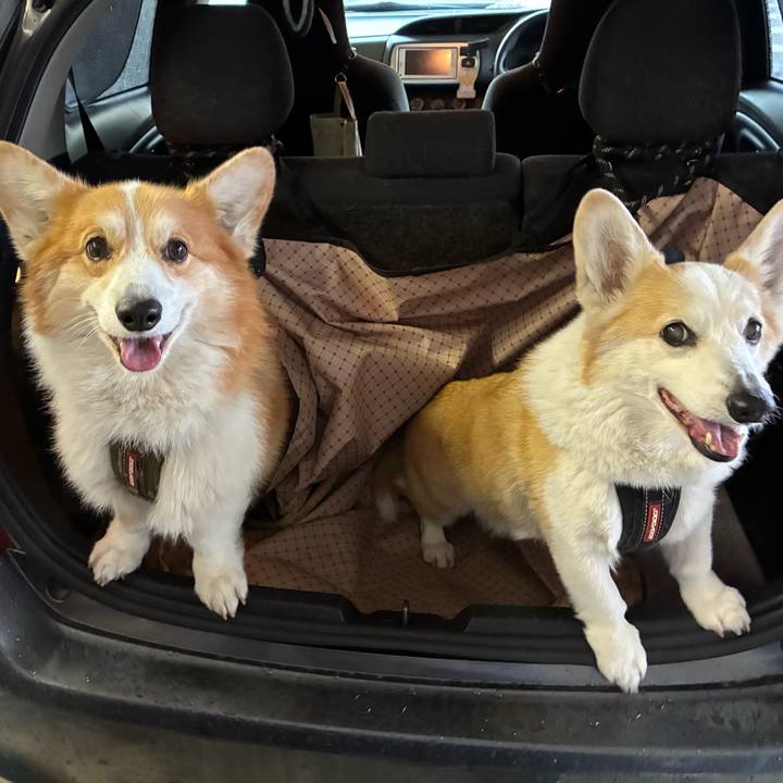 54b7c730 8379 4ee3 a42f 908a57c1c9f8 1775272067574