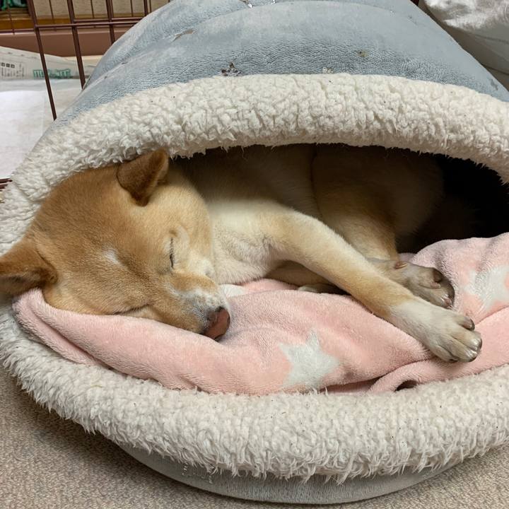 54b7daf4 052c 4d57 bc9b 9f6d3362cab8 1617883882963