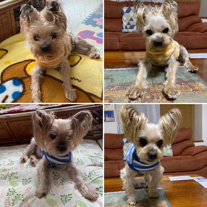 54b7dbbe c7c2 424a baae 685374080520 1671008797563