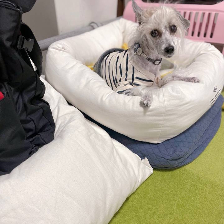 54b83183 5299 4e5a b141 e53108ad792b 1762920841057