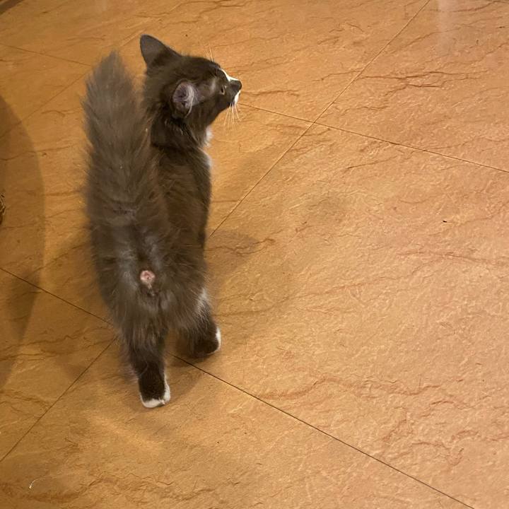 54b868fe 4d69 47a2 ab5b 69b49212ec91 1688198541889