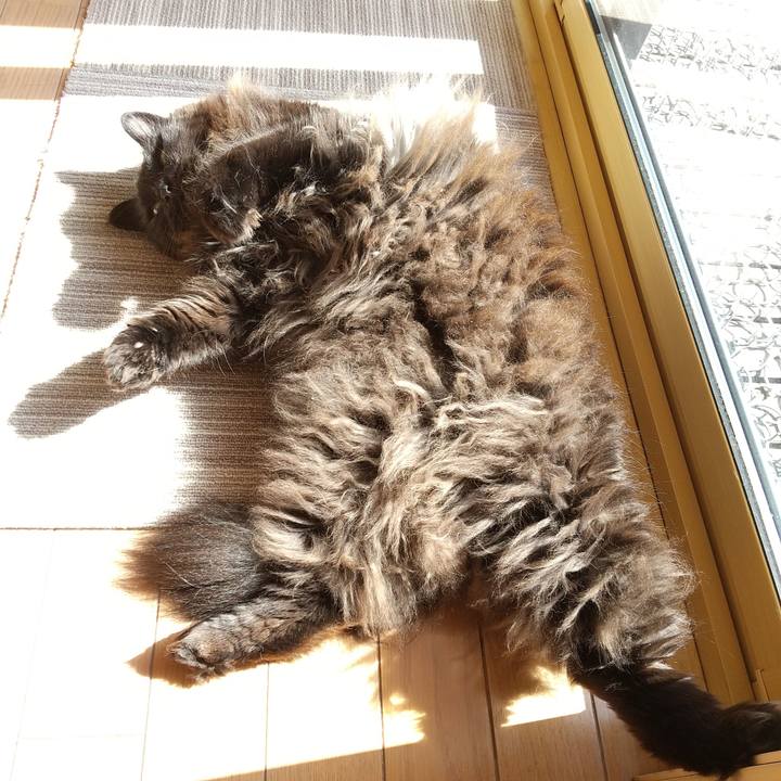 54b89604 db9c 4547 908b 12970ba4a5e0 1583031822616