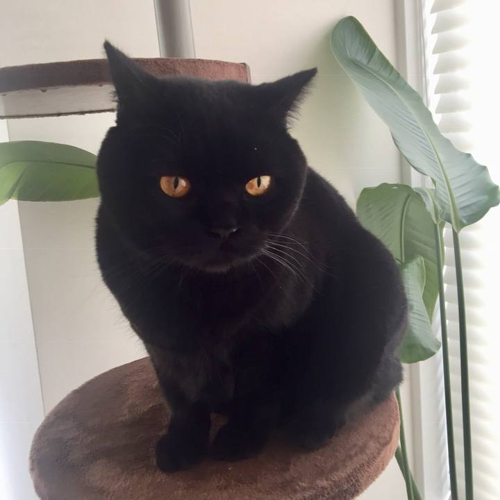 54b8ae85 ac48 4e32 931a 936c79dd9f06 1549929531605