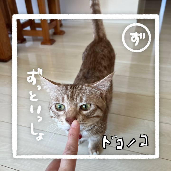 54b8b3aa 01d3 4701 9d15 5cf36e1f52d0 1685936169900