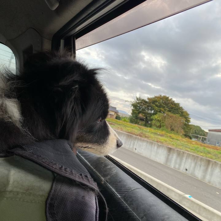 54b8b5b8 cf50 4859 866e a8d0f3373f08 1699653849372