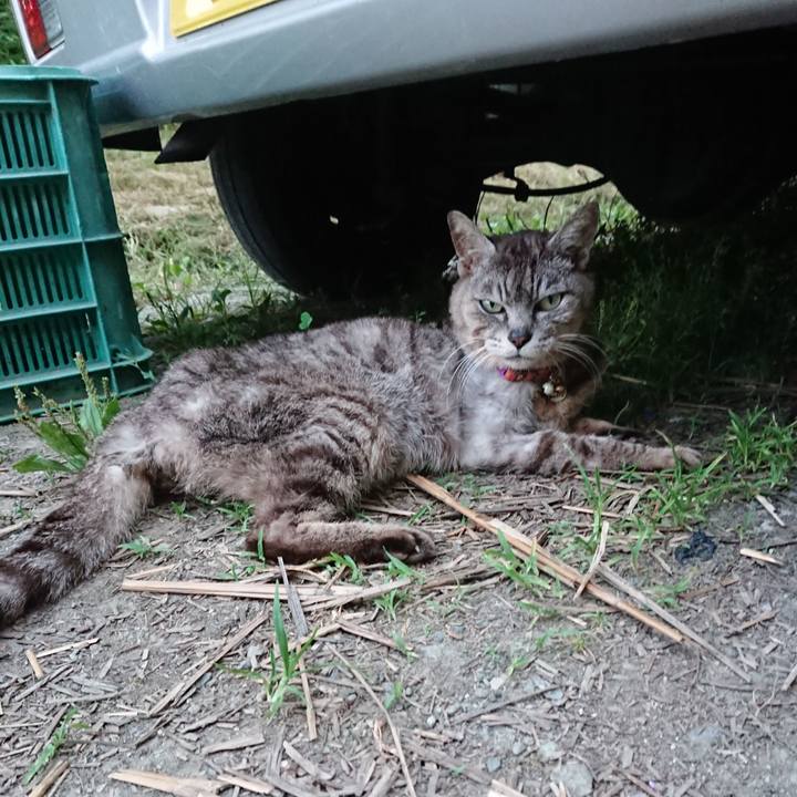 54b8b600 f8ff 4aa1 ba6c faba9690cf72 1598174473742