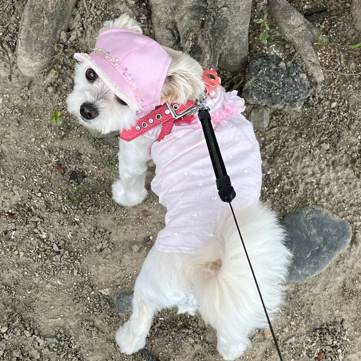 54b8ba6c 37a8 404d ba99 46590451054b 1656141110984