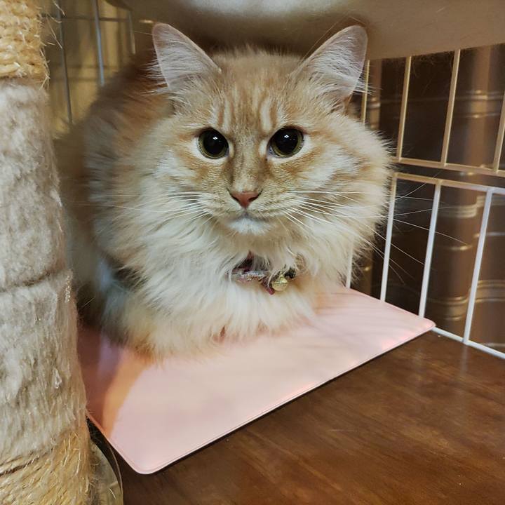 54b8c67b 30eb 4d9d af91 539fc41883b1 1674653820695