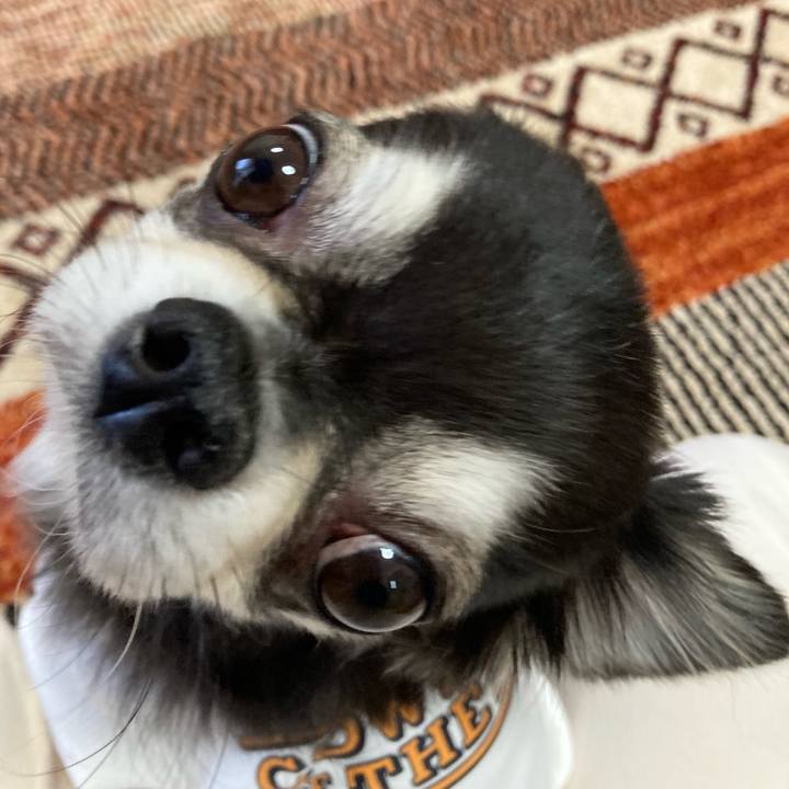 54b8d1fe 034e 49f8 b821 94f8ea8b0bf5 1670766030433