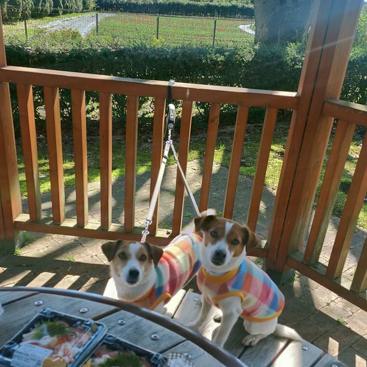 54b90bb1 b930 44e7 ace5 af67138bfb49 1772962443819