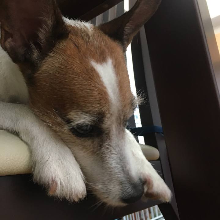 54b93946 30cd 405d b1af c4430e8a5673 1598917250068