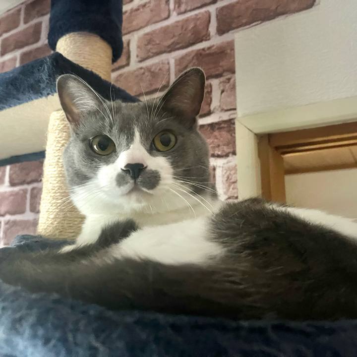 54b95733 4d4a 4e58 8e6b 549177446b5f 1665962380456