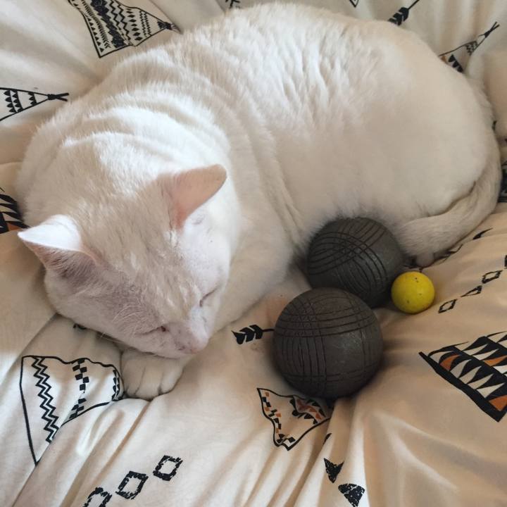 54b9839e 364f 4372 9723 a8c1b8633e54 1529796517323