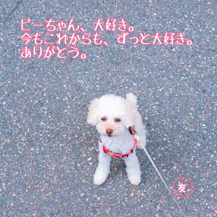 54b9f131 ee72 4d61 b440 73e267bfb6df 1534130351709