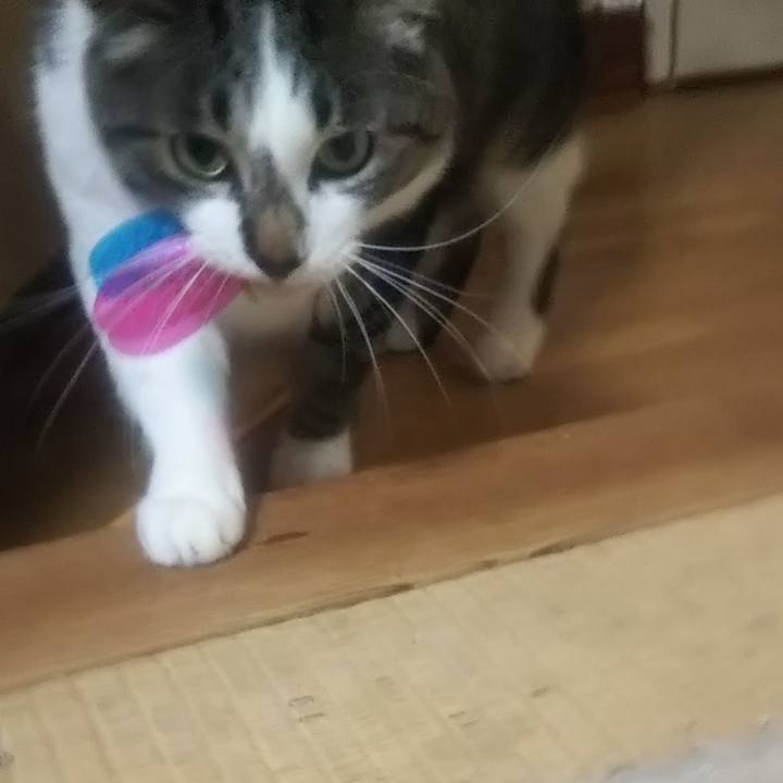 54b9f35c 4cea 4664 960a 7d361c43f2d2 1619431381035