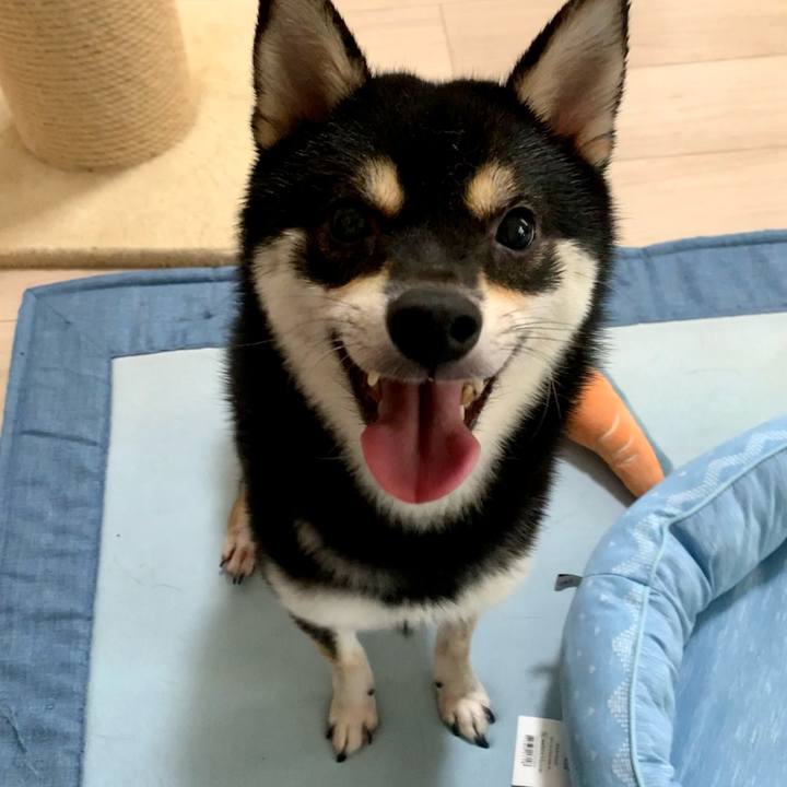 54ba017b 26ba 49e8 a21a 9d6db9b6f74d 1631668107207