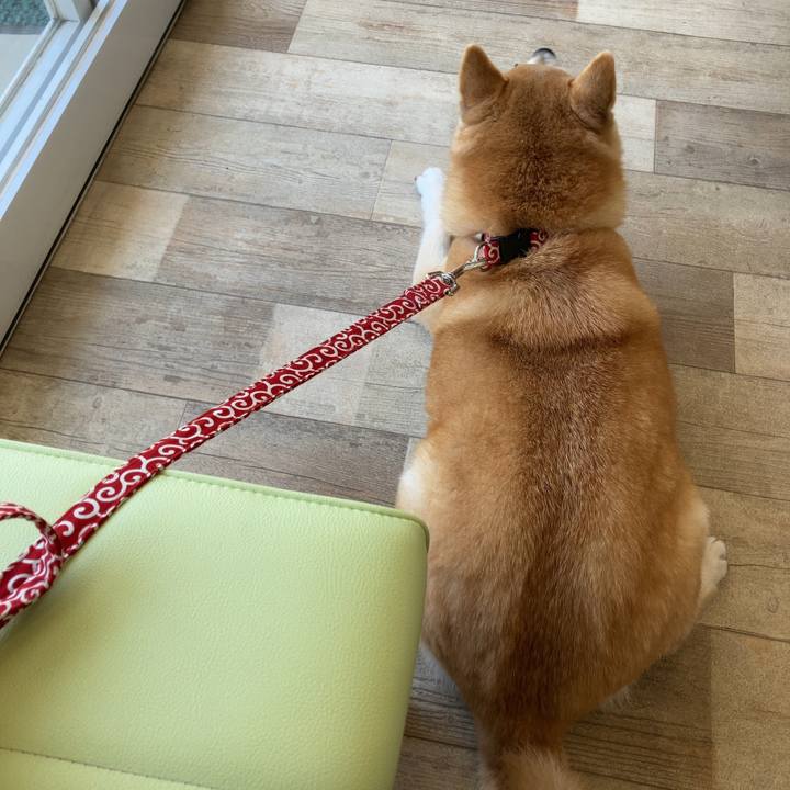 54ba3d56 7e9c 4c80 8f03 7e14eba9f255 1618143033902