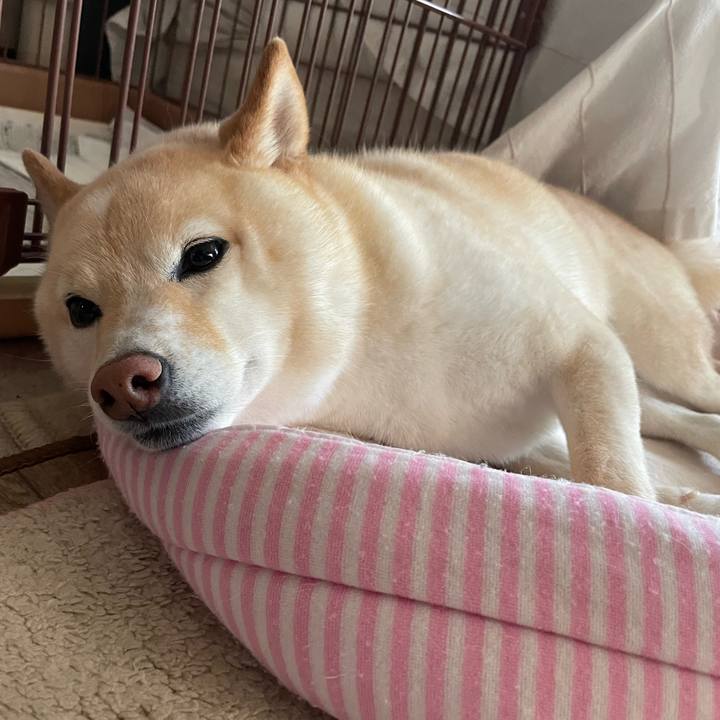 54ba5bf8 2843 4d22 84b8 e4294abb7b7f 1689030761594