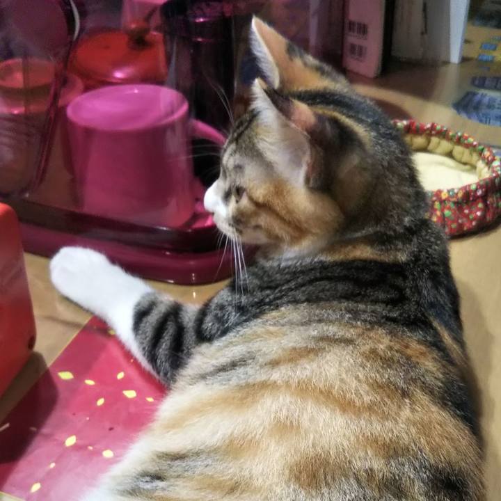 54ba7fb8 6ef4 4b7f 9b94 a15008e39997 1628539947205