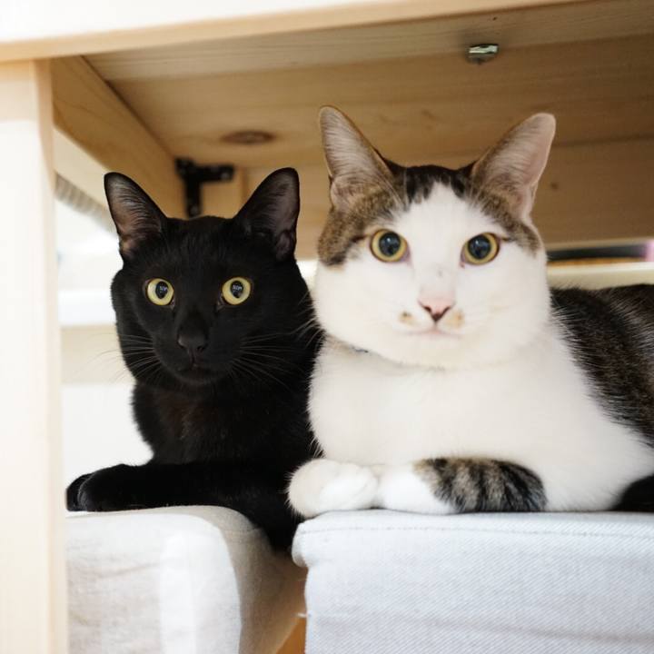 54ba93d6 4d20 45e1 ae04 b341e26631a7 1511053022119