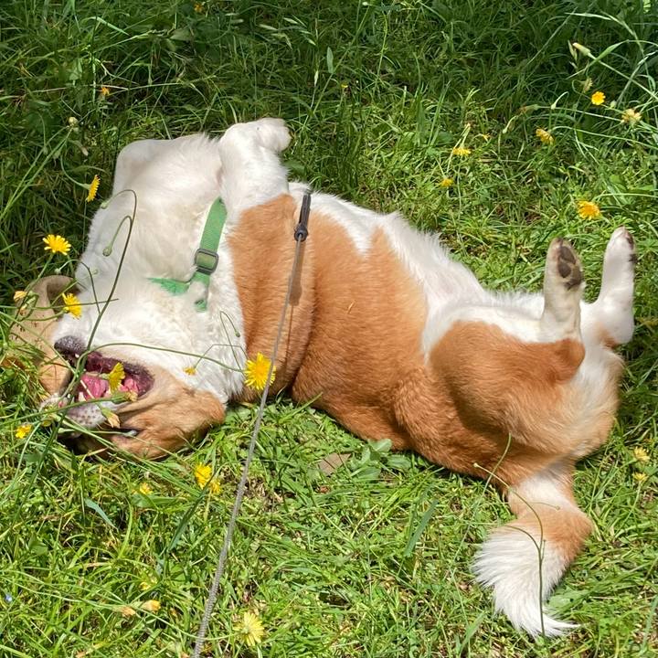 54ba9f8c 4d25 4589 bdcc 20b9f30efb0f 1715651410794