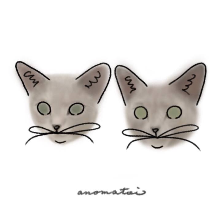 54bab573 ca13 4179 8aa3 f1803448f053 1652655360202