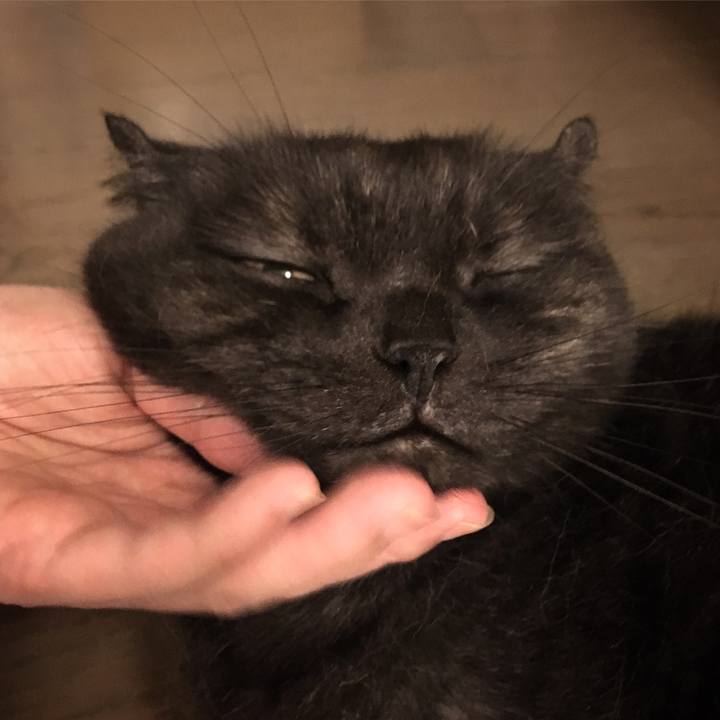 54bad097 78e3 4b5a a73c 8bf87b62971e 1530898130402