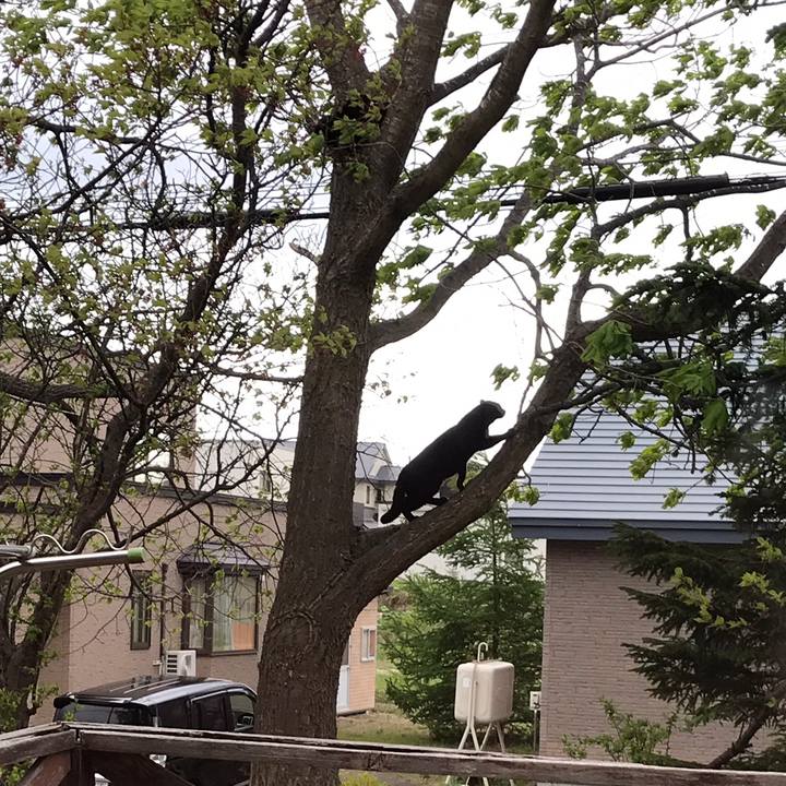 54bb0a9c d201 423d 90c7 b0581f5e59fc 1558428019251