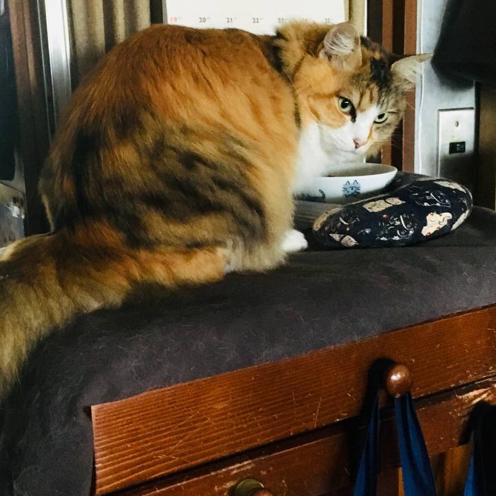 54bb218a 2500 416a 8275 2146307e63fa 1557351392931