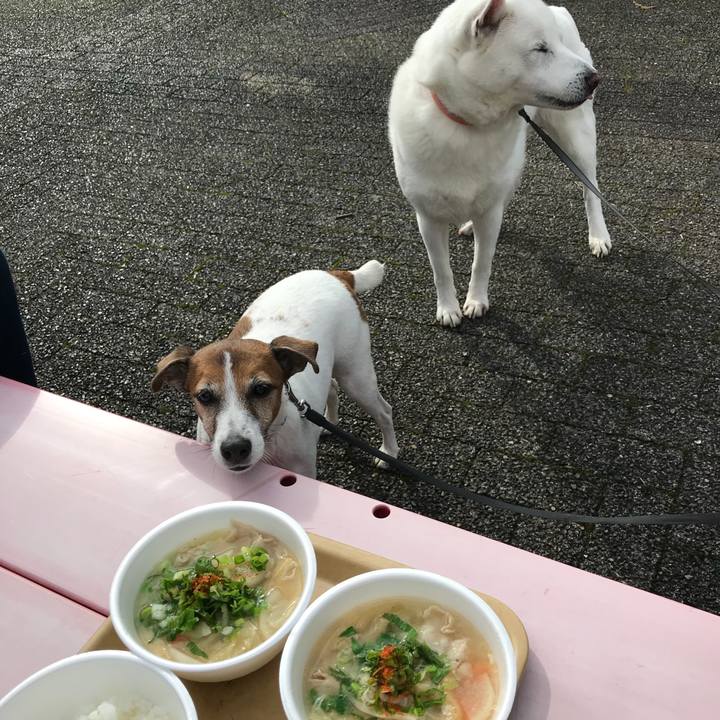 54bb574e 6efe 4c45 8c6b d231171d1e47 1510479093795