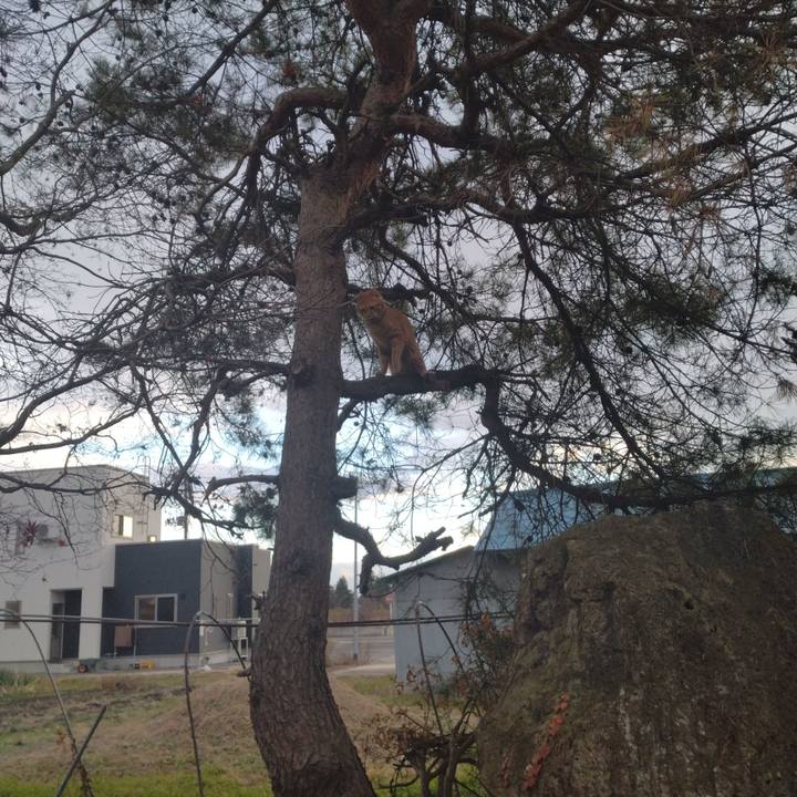 54bb6e58 a126 4e5f 947b ab9368499423 1668753911997