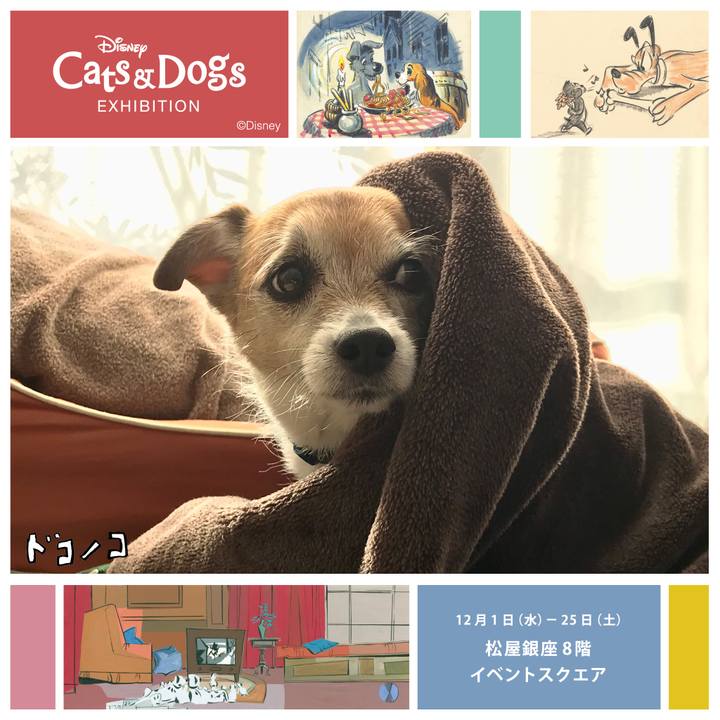 54bbcd01 a39f 44eb b8e3 6773f8d40d12 1639109773027