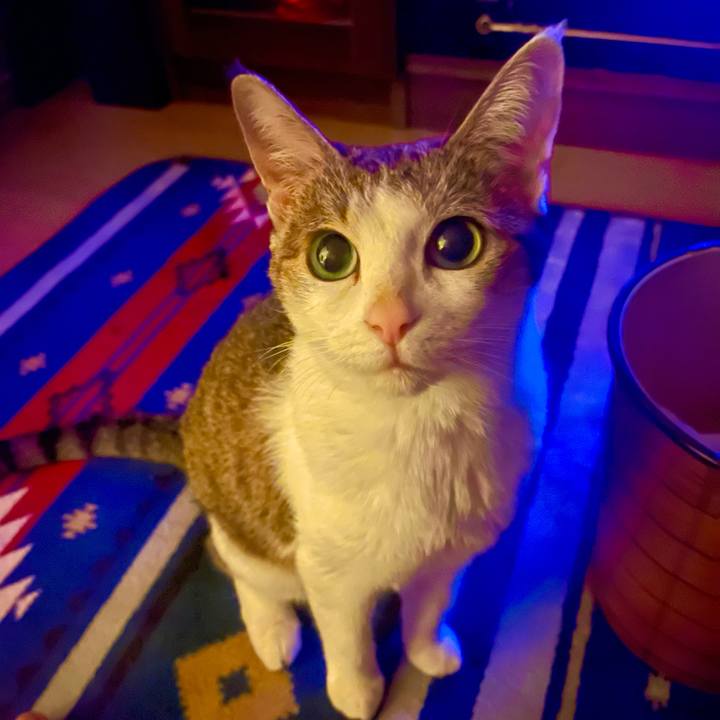 54bc8537 eb15 487f 97bc d33551eea976 1729900839766