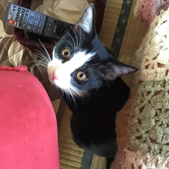 54bc97e2 04b0 4015 8eb9 dee276717dd3 1633670745550