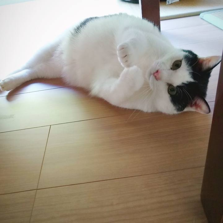 54bd0965 6b05 45dc b761 3b68dedaccc8 1556348602739