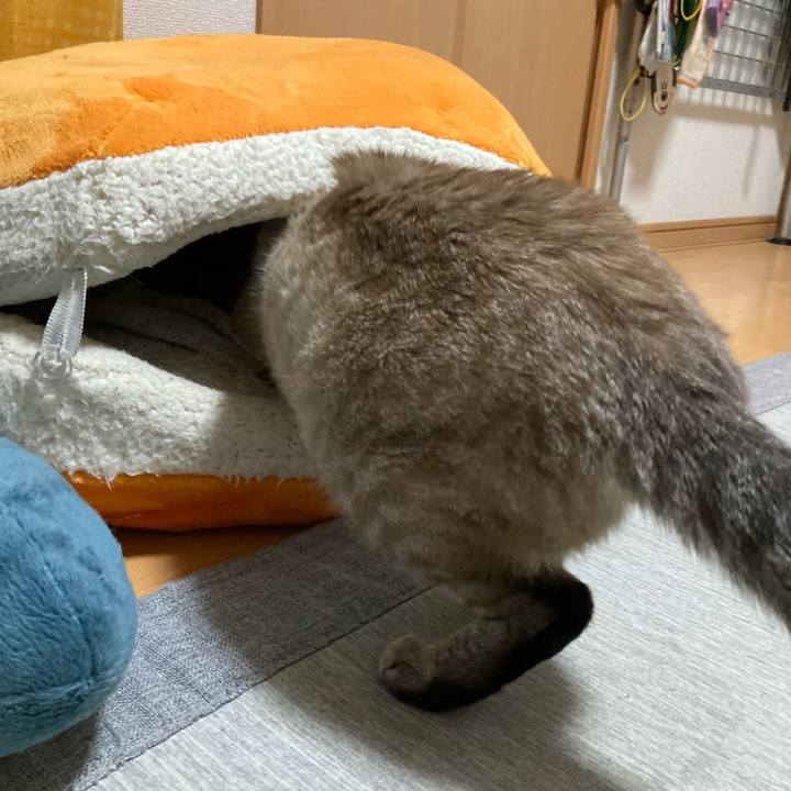 54bd1f89 cfa9 4ab5 905d b83829604e8e 1765848317904