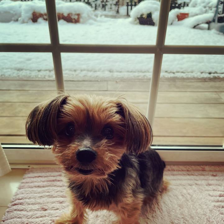 54bd6b36 a6d8 4b64 aa20 01c504edc9b1 1641507274055