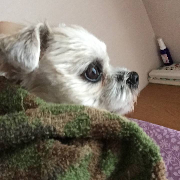 54bd815d 08b3 432e 8393 66bb3160ca5c 1534141811043