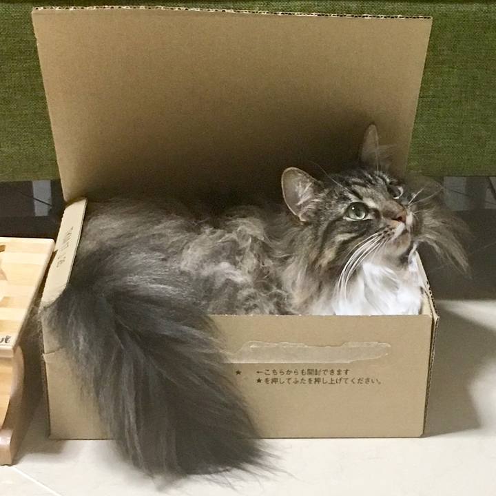 54bd9c4b d8cb 4c73 aa86 1d64d9754807 1510494897176