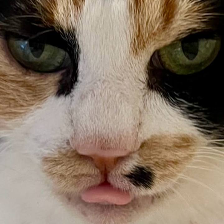 54bdb969 5331 4bdb b2b8 3c6c3b989c62 1724021014448