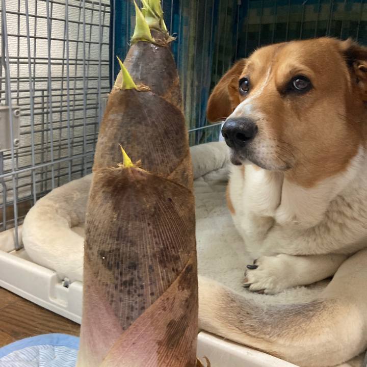 54bdbf8c c52e 4eda af5a 2b0efbba83ce 1745973001355