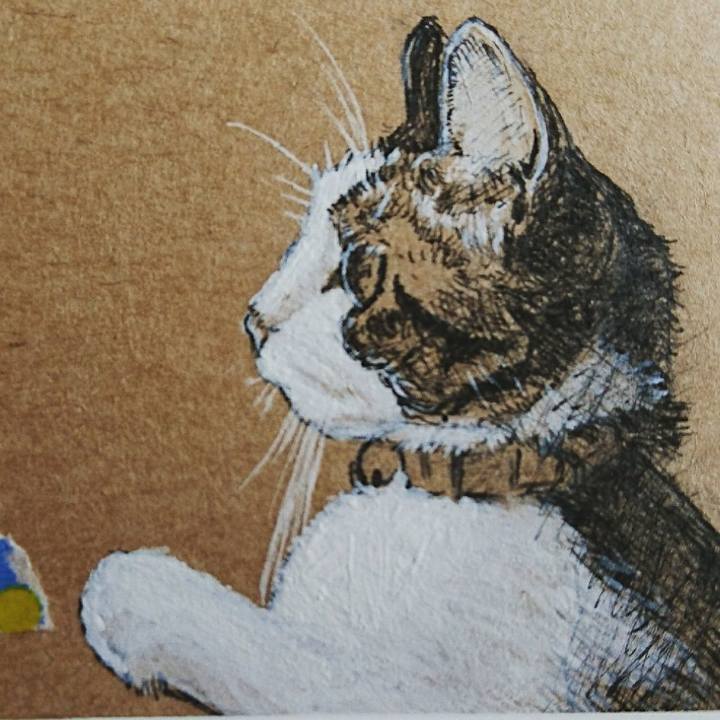 54bdd64b 1499 4c9b 84f7 437746ed343f 1519732902558