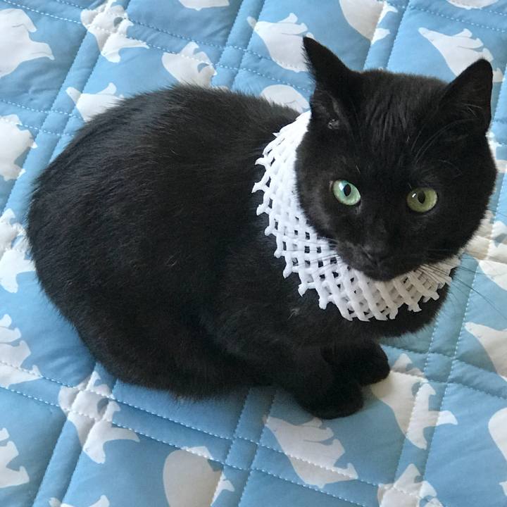 54bded64 0593 41df a1ca 504518b8b6ba 1533274596821