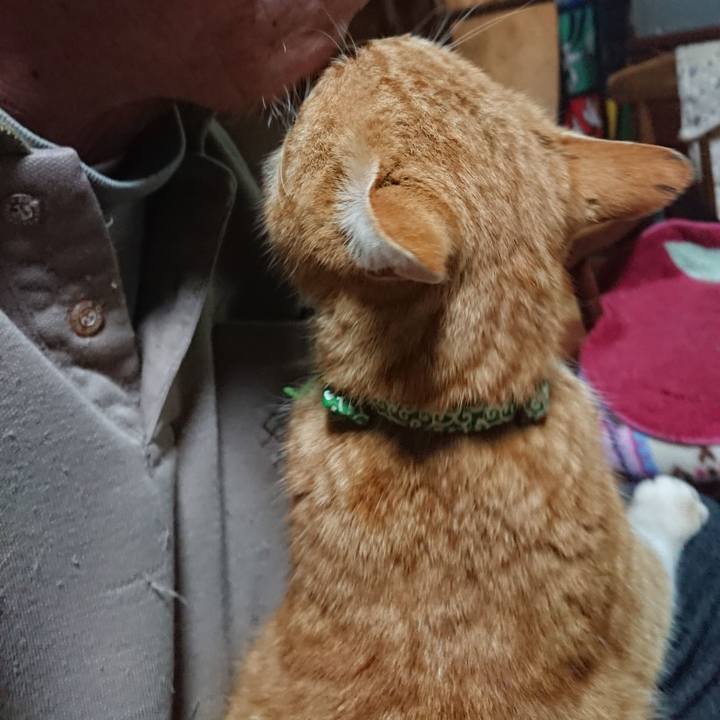 54be29a1 9396 4bc8 9335 0ed4886bcaa3 1581590623964