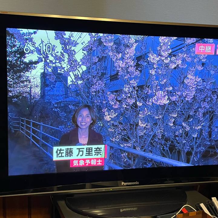 54beb65b 0547 4680 8e0b ed2b48dc0503 1678184883489