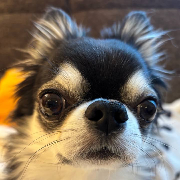 54bf1f3c a911 49bd 9c4e 1e57c4da47c6 1734218692979